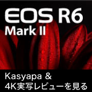 EOS R6 Mark II 4K動画 Kasyapa