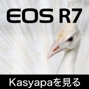 EOS R7 Kasyapa