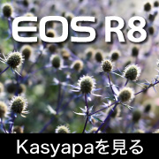 EOS R8 Kasyapa