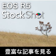eos_r5_stockshot