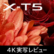 X-T5 動画 Kasyapa