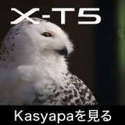 X-T5 Kasyapa