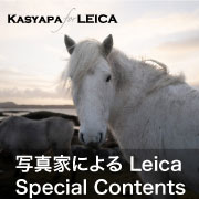 写真家Special Contents