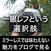 【Nikon】一眼レフという選択肢