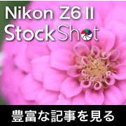 nikon_z62_stockshot