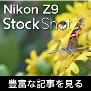nikon_z9_stockshot