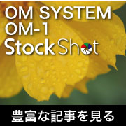 om_1_stockshot