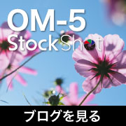 StockShot