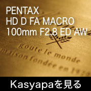 HD D FA MACRO 100mmフォトプレビュー