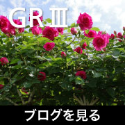 GRIII ブログ