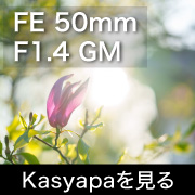 FE 50F14GM kasyapa