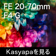 FE 20-70mm F4 G kasyapa