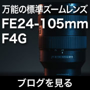 FE24-105mm F4G おすすめブログ