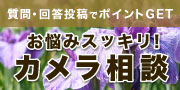コンシェルジュ