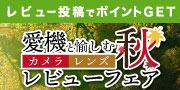 コミュレビ大賞