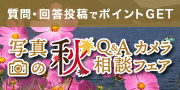コンシェルジュ