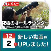 ec_youtubeblog