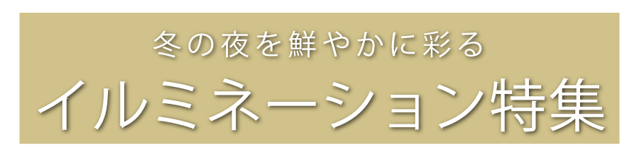イルミネーション特集
