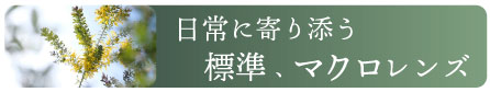 標準マクロレンズ