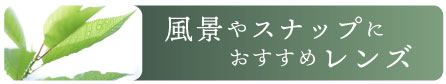 広角レンズ