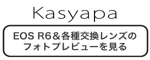 カシャパ