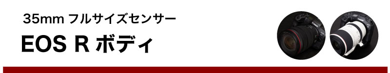 RF フルサイズ