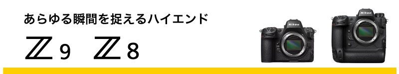 フラグシップモデル