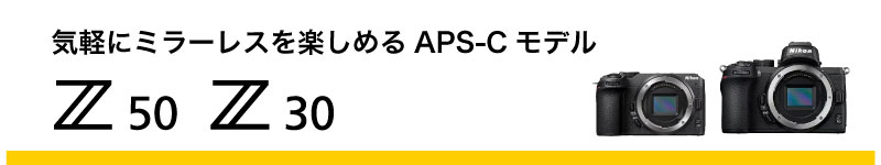 APS-Cモデル