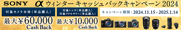 αウィンターキャッシュバックキャンペーン2024