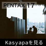 実機レビュー