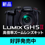 LUMIX DC-GH5M2H 高倍率ズームレンズキット好評発売中