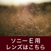 ソニーE用レンズ