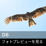 Nikon D6 フォトプレビュー
