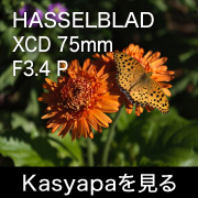 X2D 100C Kasyapa