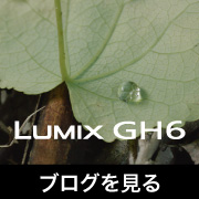 4K Kasyapa GH6