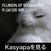 xf500mm_kasyapa