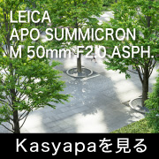 Leica アポズミクロン Ｍ50mm F2.0 ASPH. フォトプレビュー