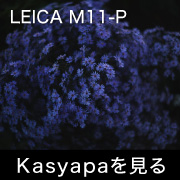 LEICA M11P Kasyapa