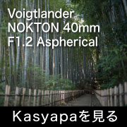 Voigtlander NOKTON 40mm F1.2 Aspherical VM フォトプレビュー