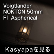 Voigtlander NOKTON 50mm F1 Aspherical VM フォトプレビュー