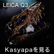 Leica Q3 Kasyapa