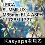 Leica ズミルックス M35mm F1.4 11726 フォトプレビュー