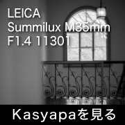 Leica ズミルックス M35mm F1.4 11301 フォトプレビュー