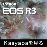 Canon EOS R3 Kasyapa