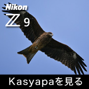 Nikon Z9 Kasyapa