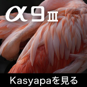 SONY α9III Kasyapa