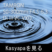 TAMRON 50-400mm フォトプレビュー