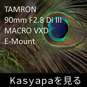TAMRON 90mm F2.8 Di III MACRO VXD E-Mount フォトプレビュー