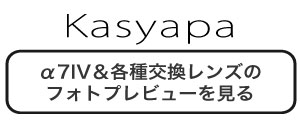 カシャパ