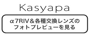 カシャパ